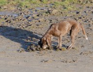DSC_6711.jpg