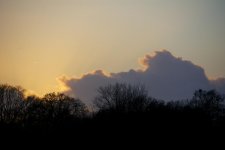 DSC_2767.jpg