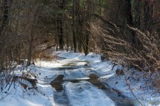DSC_6455.jpg