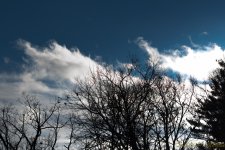 DSC_6466.jpg
