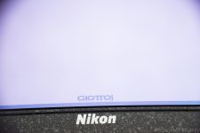 SHM_7923.jpg