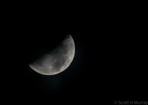 SHM_7856.jpg