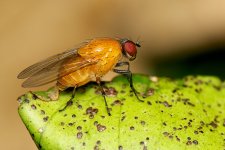 DSC_2998.jpg