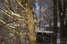 DSC_7786.jpg
