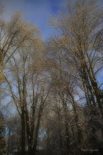 DSC_7787.jpg