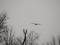 DSCN9831.jpg