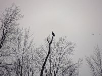 DSCN9834.jpg