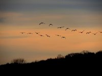 DSCN9817.jpg