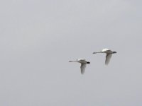 DSCN9853.jpg