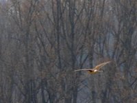 DSCN9857.jpg
