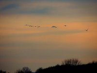 DSCN9820.jpg