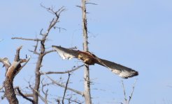 DSC_5941.jpg