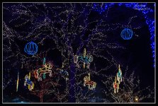 Christmas Horses Pic Site.jpg