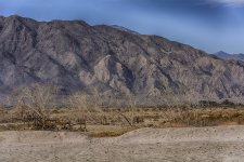 Salton Sea #5.jpg