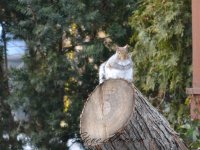 DSC_1312.jpg