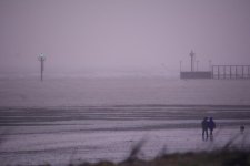 DSC_2828.jpg
