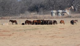 DSC_3504.JPG