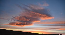 DSC_3471.JPG