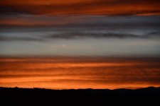 DSC_3480.JPG
