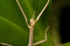 DSC_3977.jpg