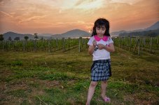 sunsetgrape-1.jpg