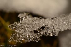 Winter Crystals 2.jpg