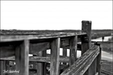 WetlandNatlPark7bw_zps322fa9f9.jpg