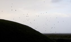 DSC_2909.jpg
