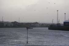 DSC_2907.jpg