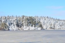 DSC_6574.jpg