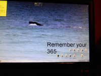 DSCN0181.jpg
