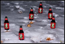 Day3Woodchucks.jpg