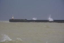 DSC_3159.jpg