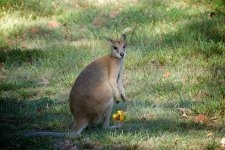 DSC_3989.jpg