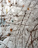 icestorm remnants 1.jpg