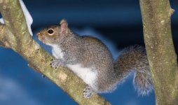 DSC_6684.jpg