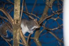 DSC_6685.jpg