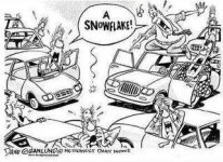 snowflake.jpg