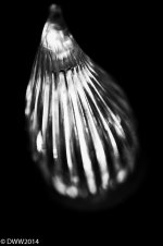 Led Candle 1.jpg