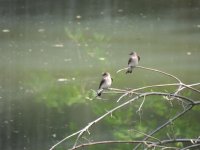 DSCN9295.jpg