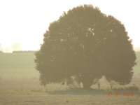 DSCN0070.jpg