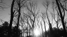 DSCN0267.jpg