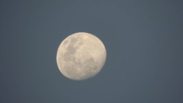 DSCN0275.jpg