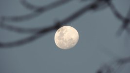 DSCN0278.jpg