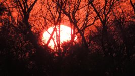 DSCN0283.jpg