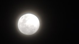 DSCN0291.jpg