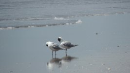 DSCN1075.jpg