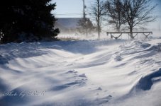 20140106-_1RB1961.jpg