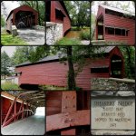 Bridge collage.jpg