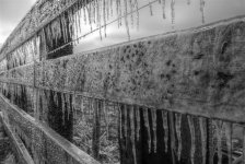 frozen_by_samspade1941-d716vwu.jpg